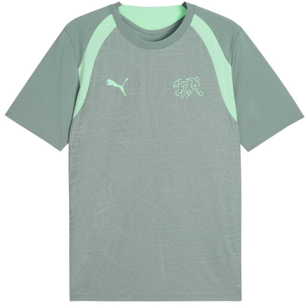 Puma Mens World Cup 2026 Switzerland FC Football Shirt / Green/White
